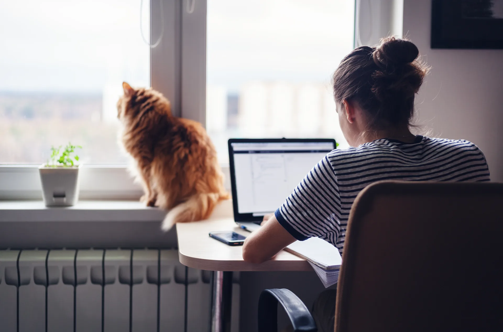 De Verschuiving naar 35%: Een Analyse van de Telewerktrends in België
