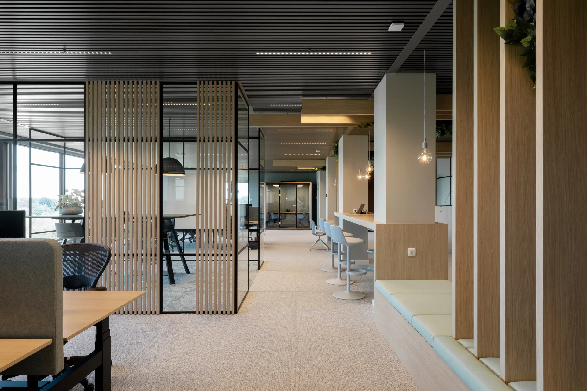 Design & Build