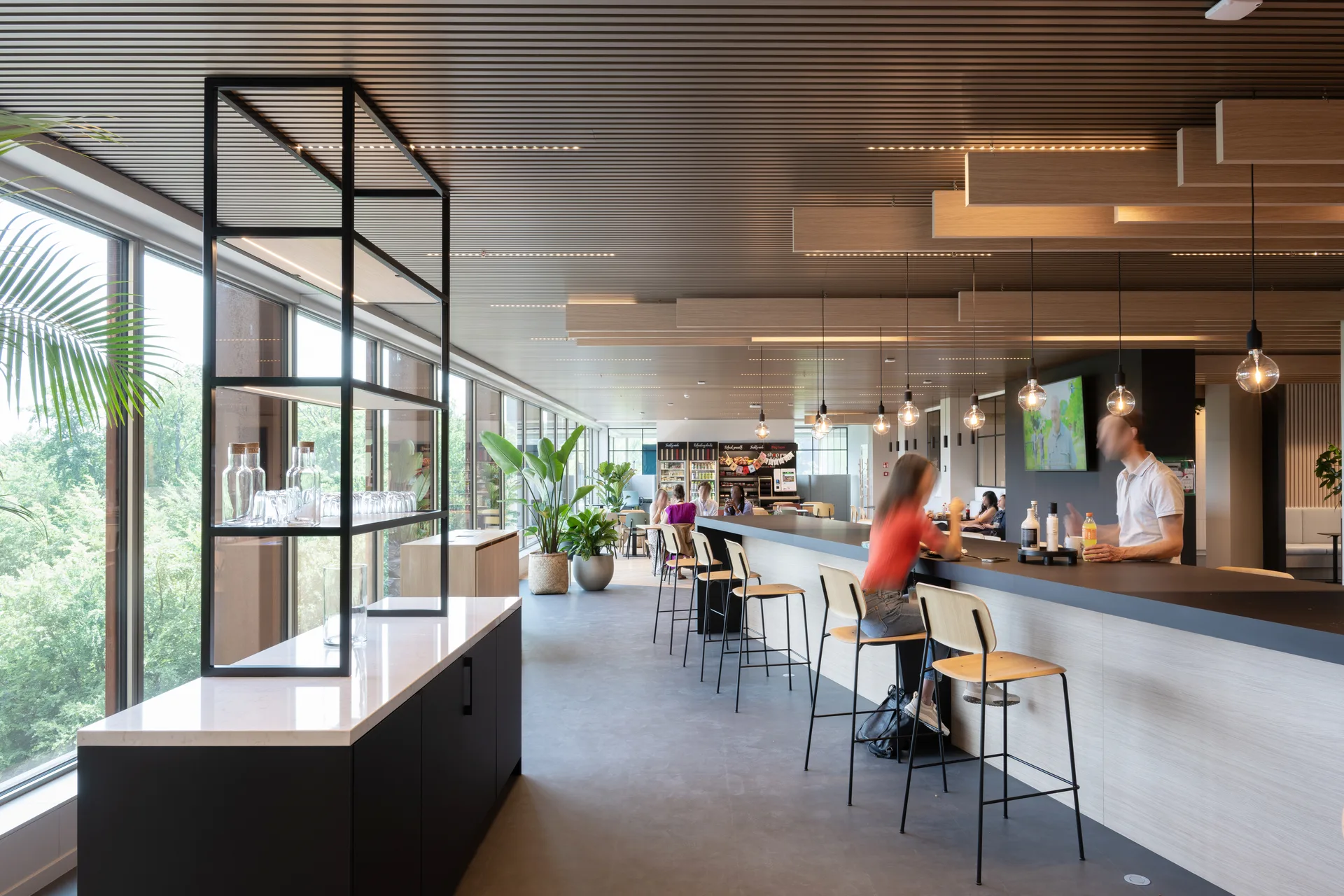 Design & Build 3