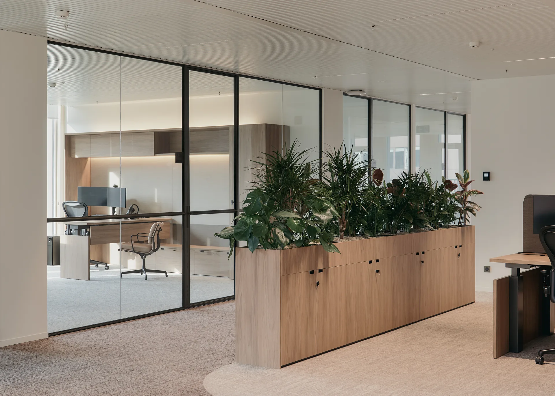 Design & Build 9