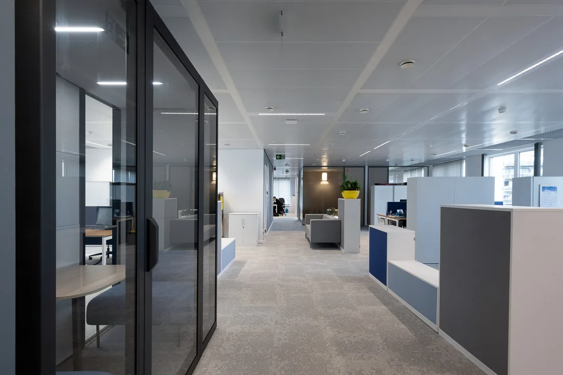 Design & Build 6