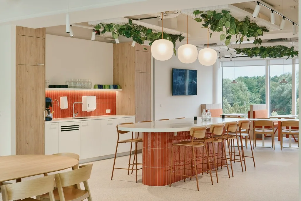 Design & Build